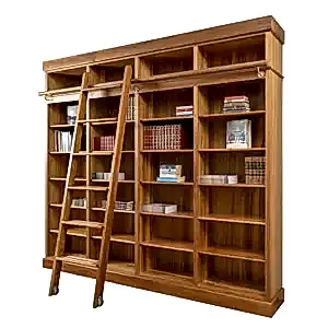 Built in bookshelves adelaide - shown with ladder